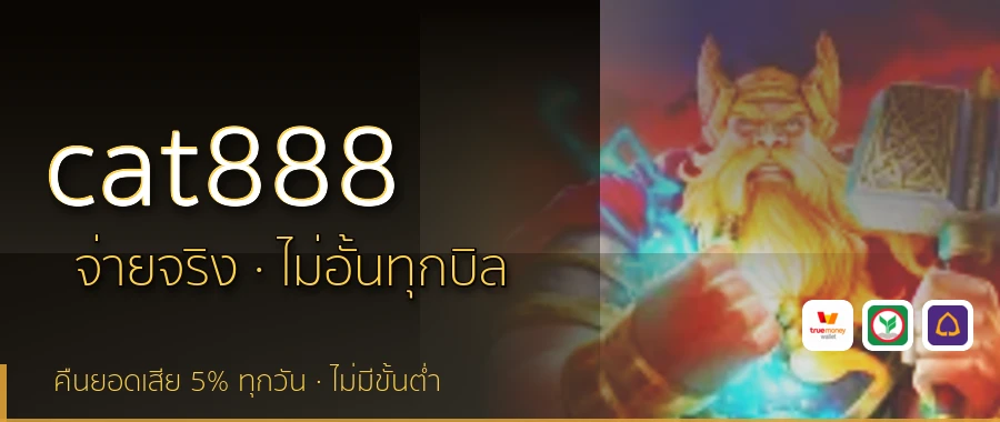 cat888